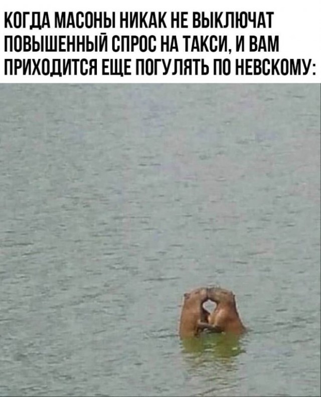 Немного картинок для настроения - 137