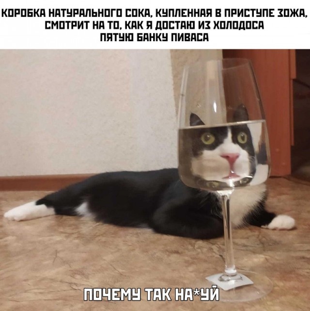Немного картинок для настроения - 139