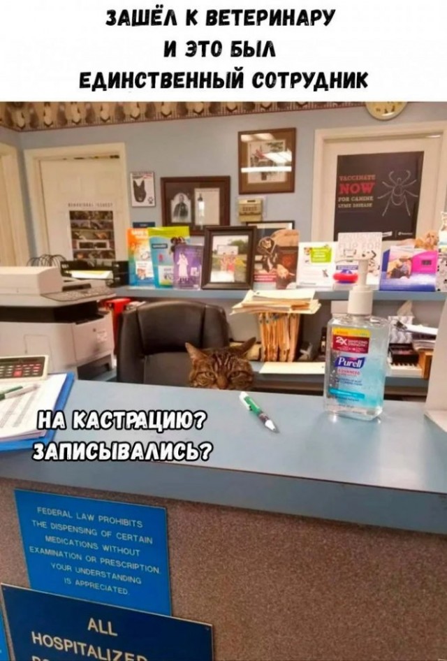 Немного картинок для настроения - 155