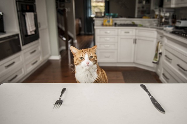 Всё потому, что кто-то слишком много ест! (с)