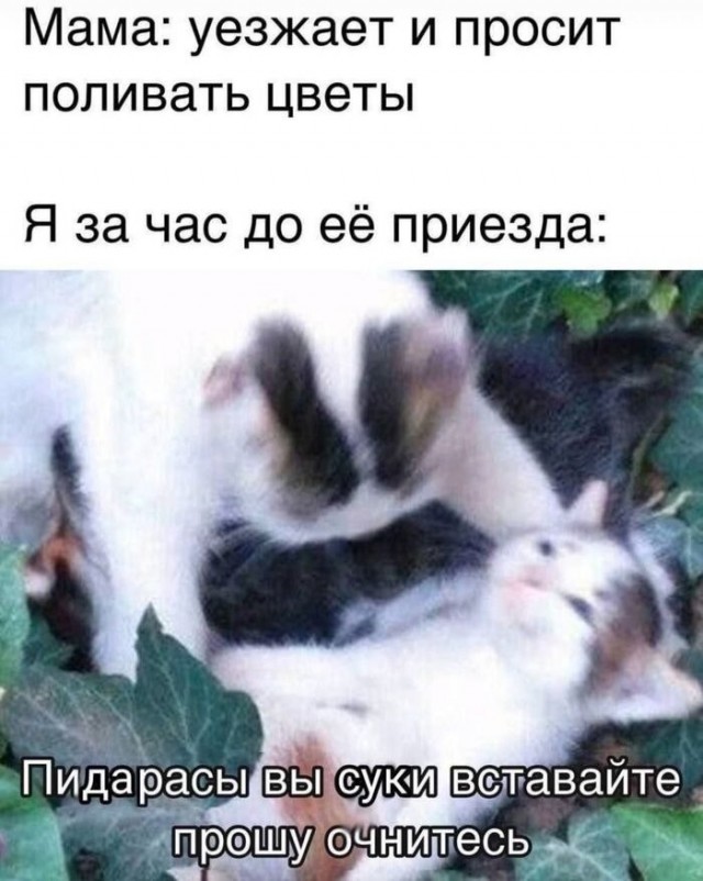 Мемы для самых умных