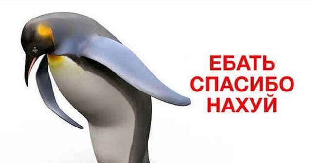 Россиянам вернут бесплатную раздачу интернет-трафика
