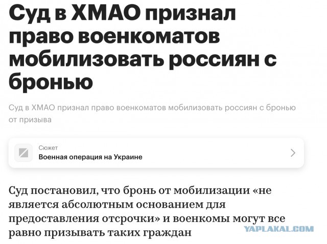 ЦИК посчитал странной подпись котиком участника инициативной группы Екатерины Дунцовой
