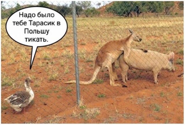 30 старопредновогодних пикч