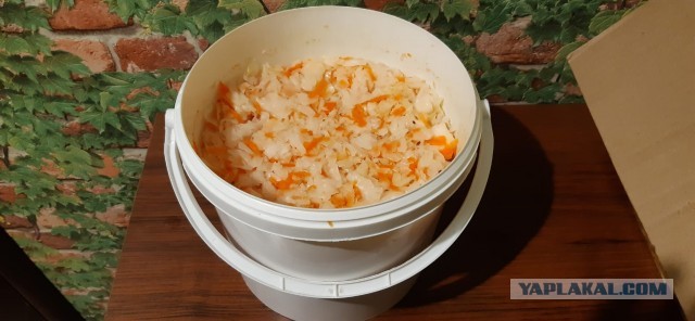 Квашеная капуста