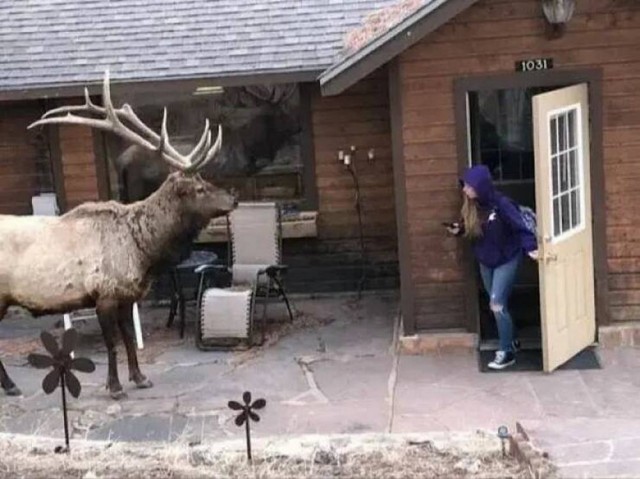 ФотоВинегрет