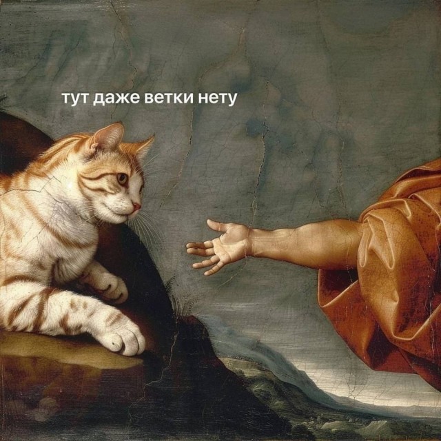 Немного забавных картинок
