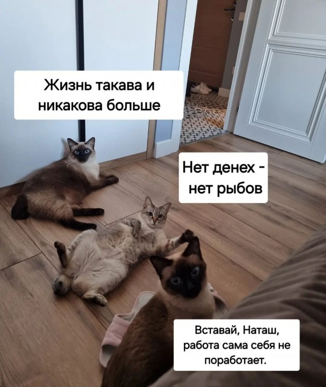 Завалялось тут случайно немного забавных картинок