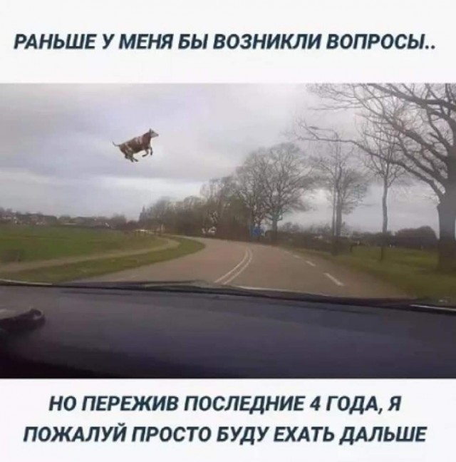 Так себе картинки 30.10.24