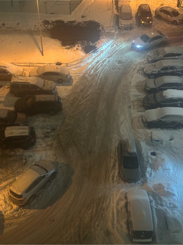 В Питере снова снег...