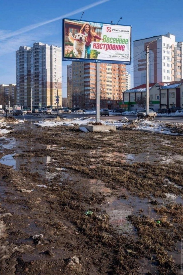 Мемы для хорошего настроения
