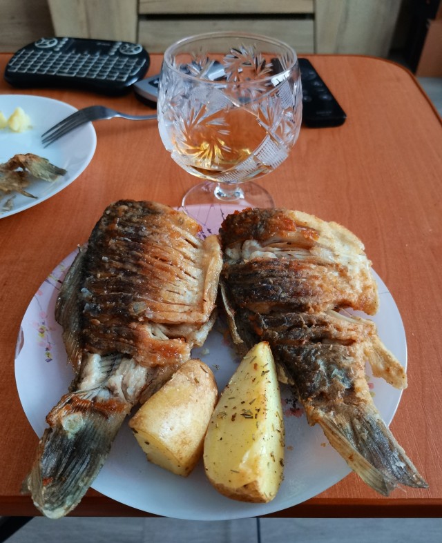 День, проведенный на рыбалке