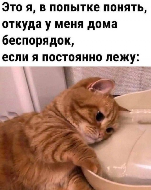 Веселые картинки в пятницу (30.05)