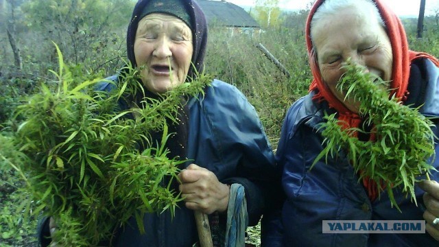 Суд Нидерландов дал три года тюрьмы инженеру из РФ за кражу секретных документов с производств ASML и Mapper Lithography