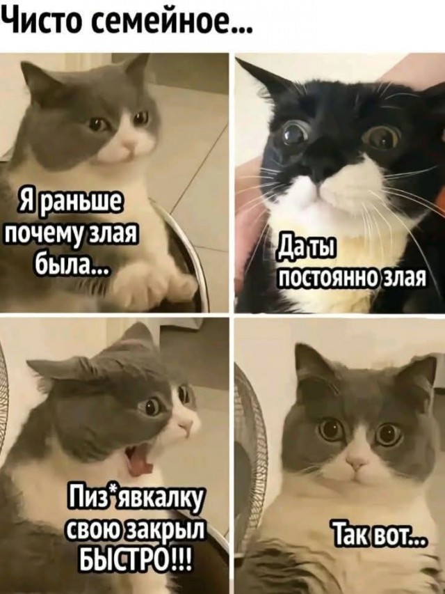 Маленькая пятница 23.07
