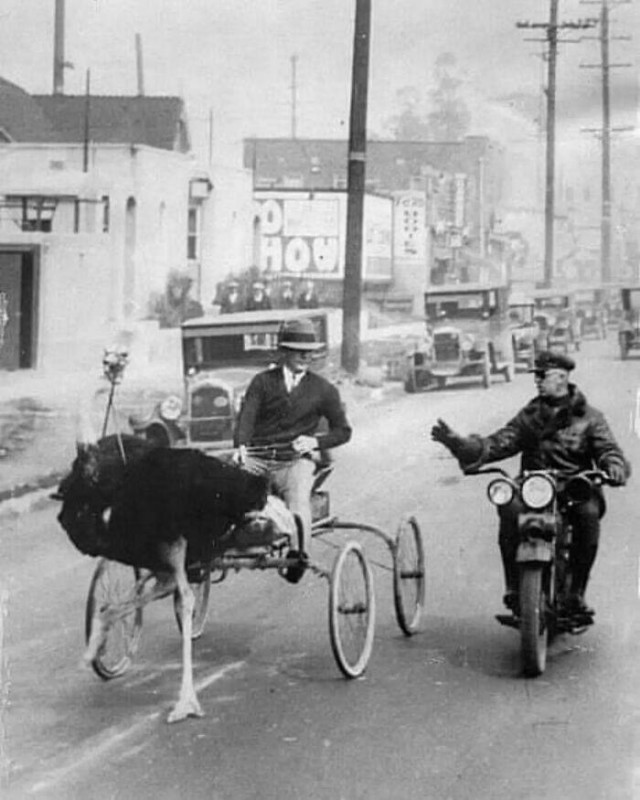 Редкие кадры и архивные снимки 30.07.25