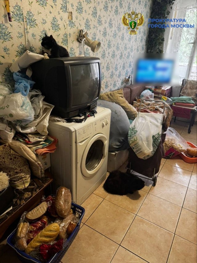 Москвичи vs кошатница