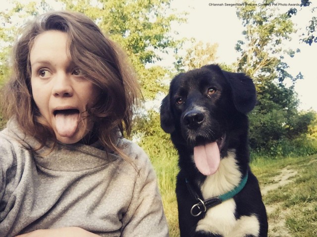 Самые смешные собаки-улыбаки за всю историю конкурса Comedy Pet Photography Awards