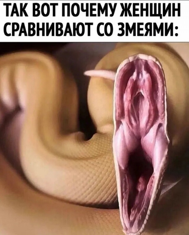 Картинки для деградации 70 (разной степени свежести)