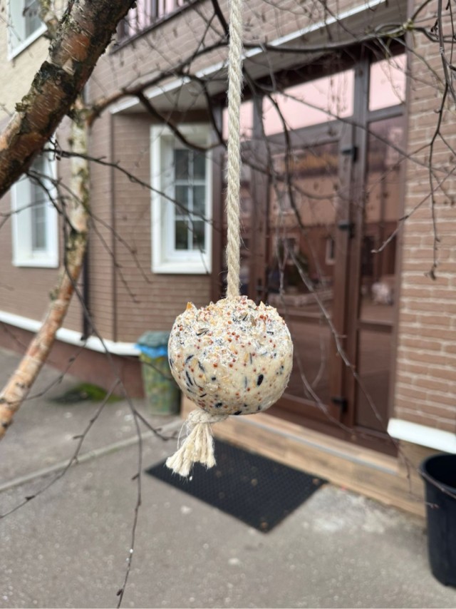 Кормушка для "офисных" синиц, воробьев и снегирей
