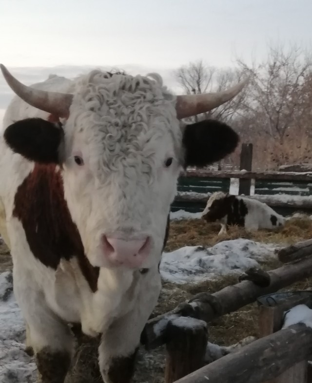 Утро начинается...