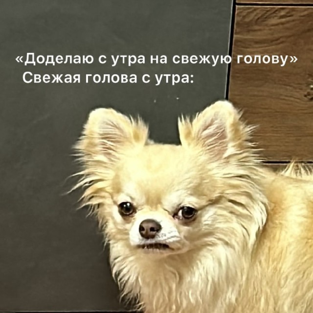 Картинки для деградации 87 (разной степени свежести)