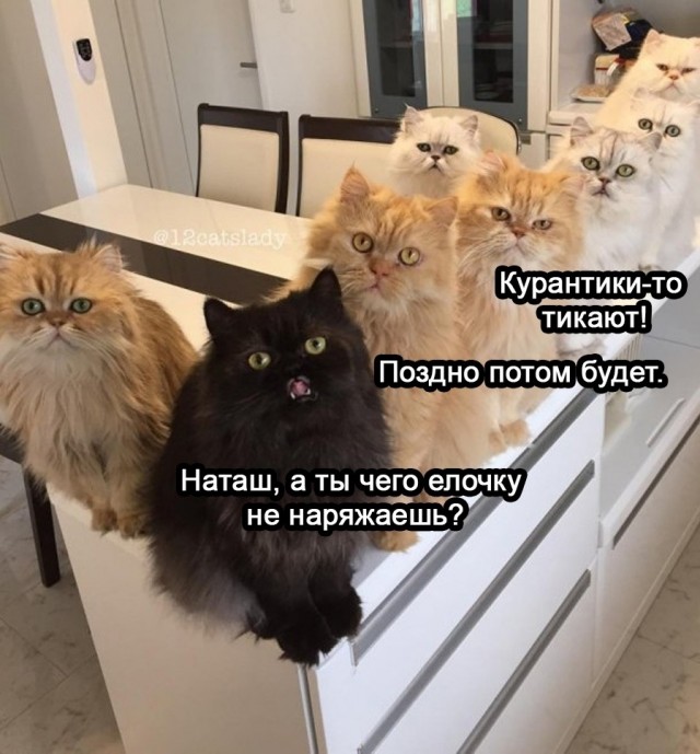 Субботние картинки