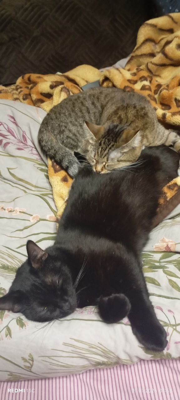 А мы спим на тёплом