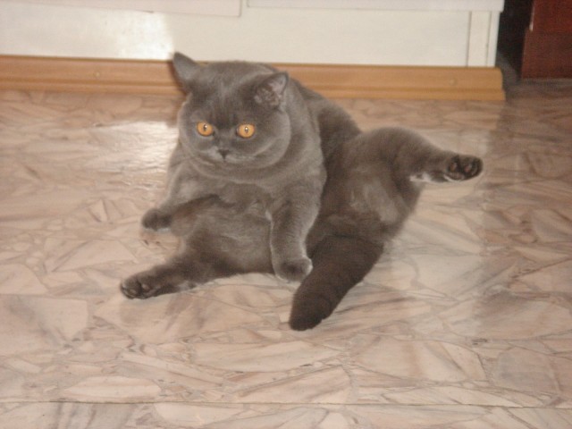 Тонкости афганского гостеприимства