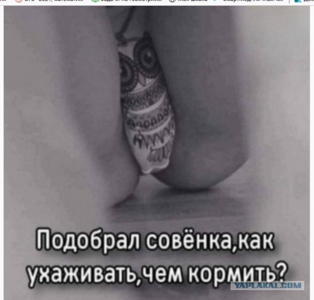 Аморальные Картинки 03.05.26