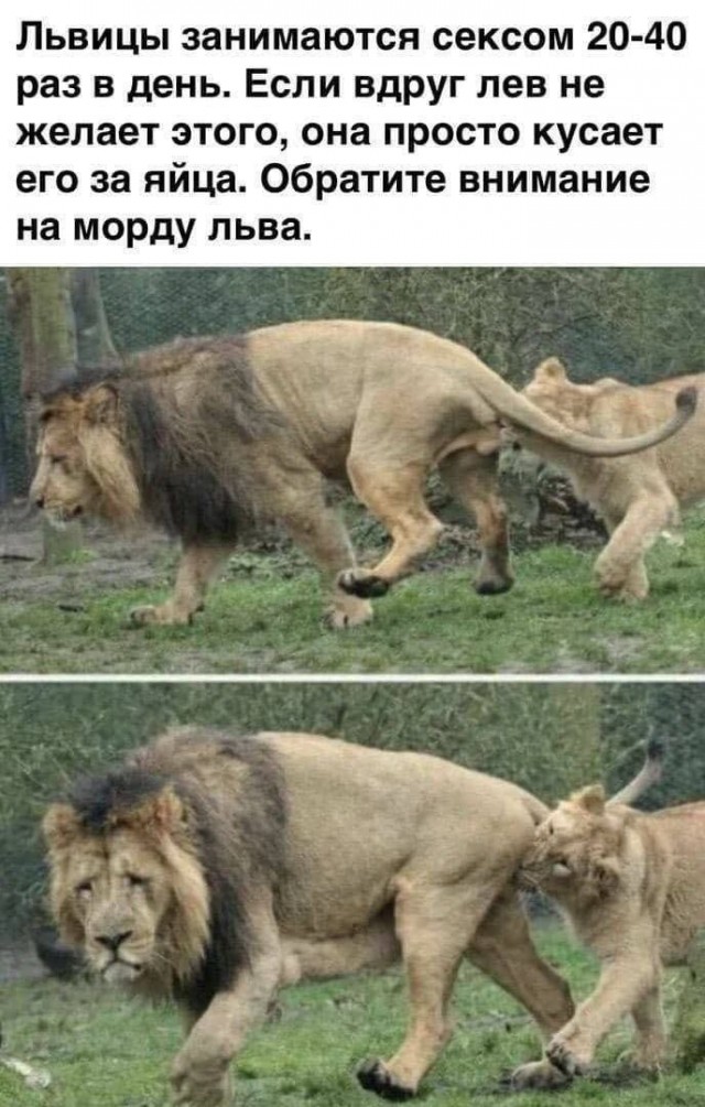 21031912.jpg