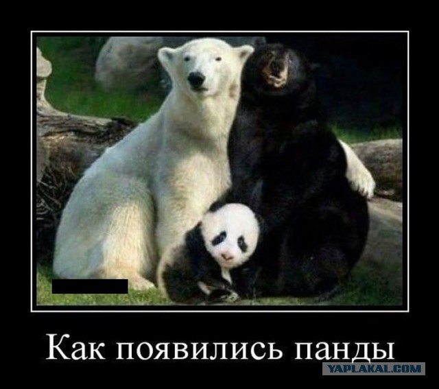 Подборка картинок