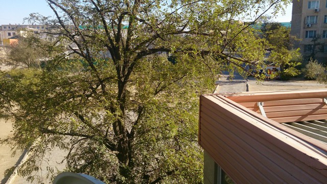 А что у Вас сейчас?