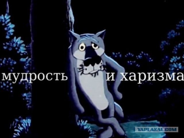 А вот и новые картинки!