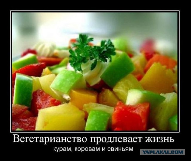 Маразмы веганов