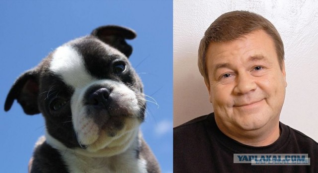 Смешные картинки, приколы, комментарии и прочее...