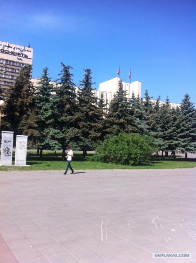 Вот такая полиция...
