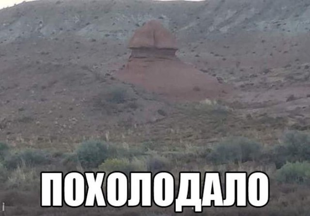 Картинки из сети