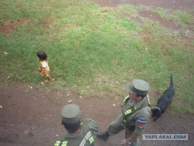 Полиция разных стран и гражданские лица