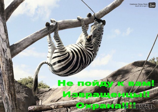 Уже да :) Ужо пятнецца...