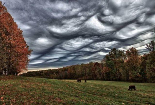 Подборка картинок на среду