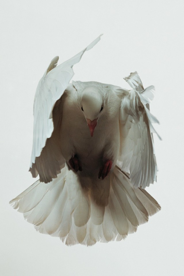 Подборка интересных и веселых фото