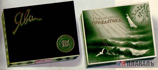 Што куриле аффторы...