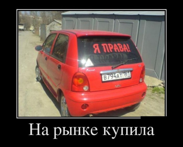 Порция картинок из сети