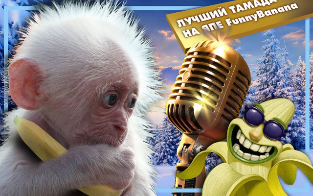ЯП посетители (дополнения 2)