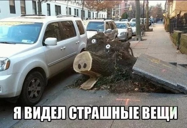 Картинки для поднятия настроения