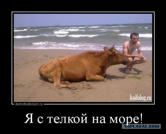 Приколы в стиле "регресс"