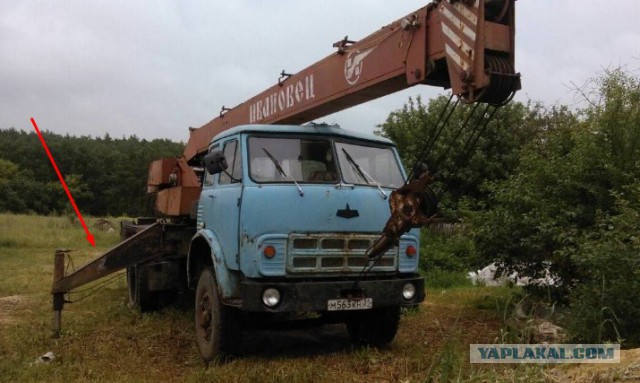 Куда же подевалась подружка?
