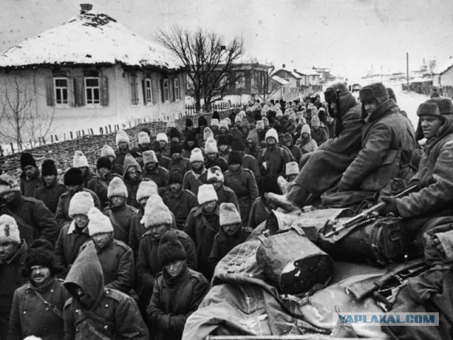 Рассказы о войне.