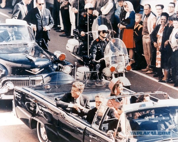 Сливки общества в бронебанках